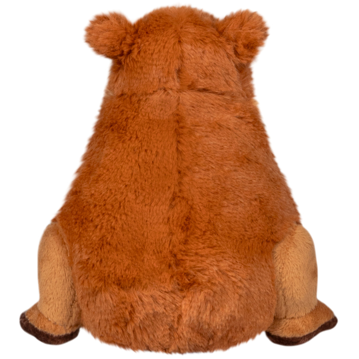Snacker Capybara S1E5