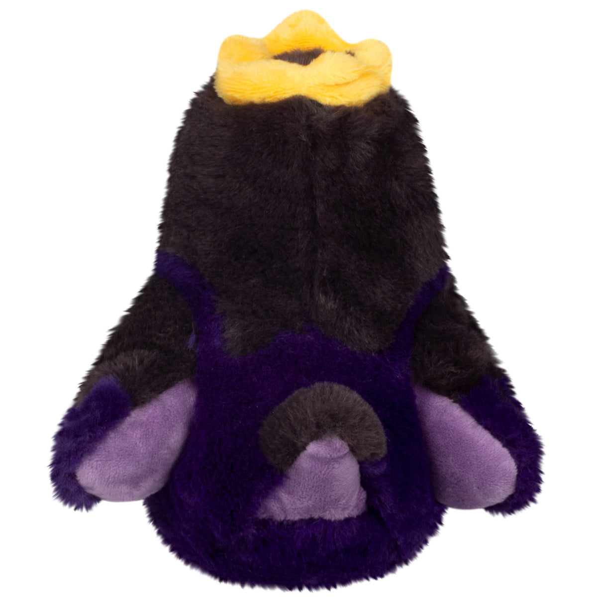 Snacker King Raven