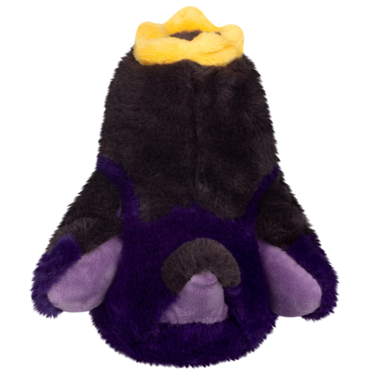Snacker King Raven