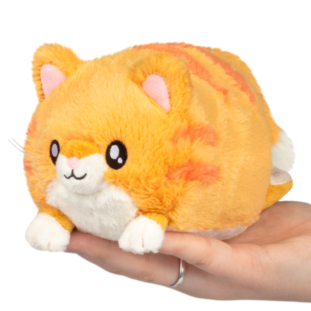 Snacker Kitty S1E5