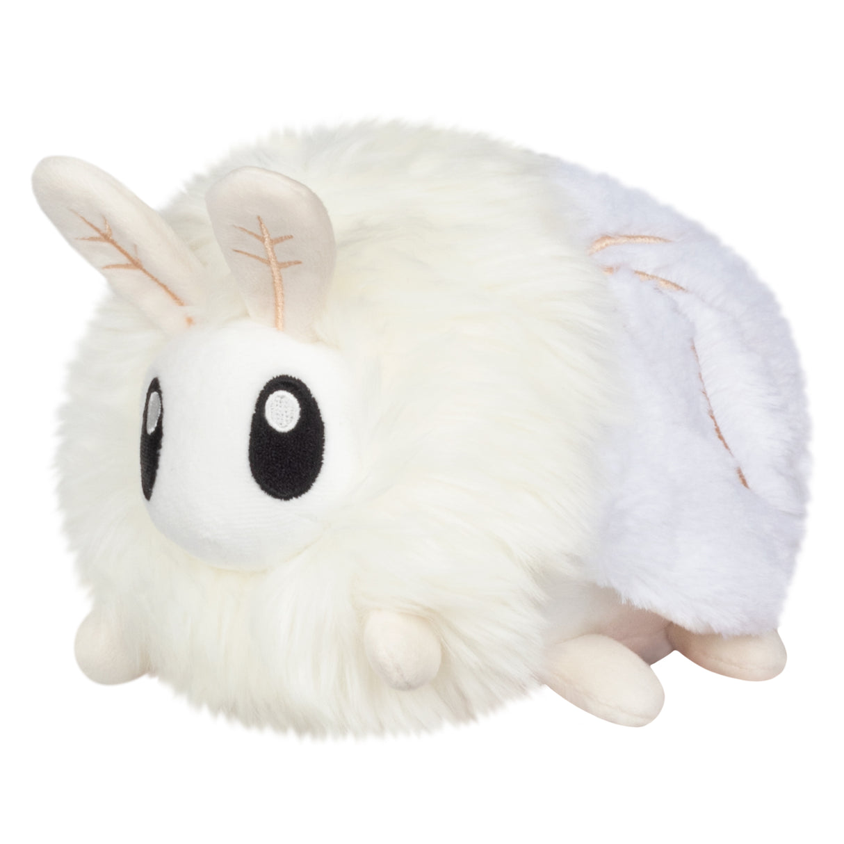 Snacker Poodle Moth