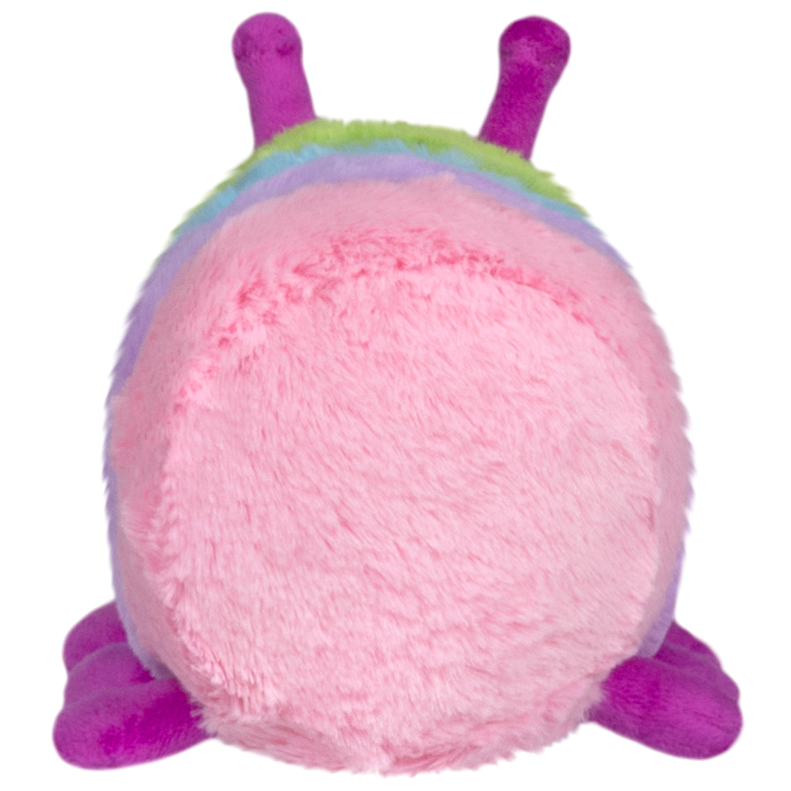 Snacker Rainbow Caterpillar S1E5