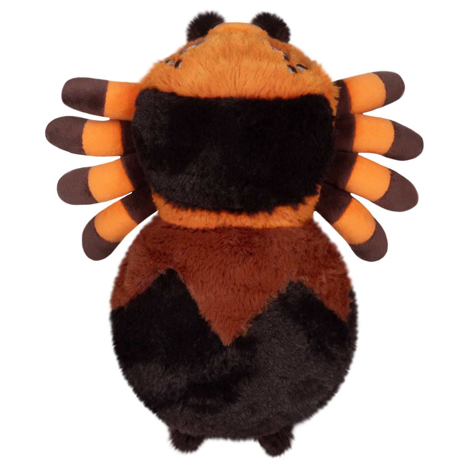 Snacker Tarantula