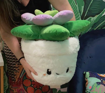 Squishable Succulent