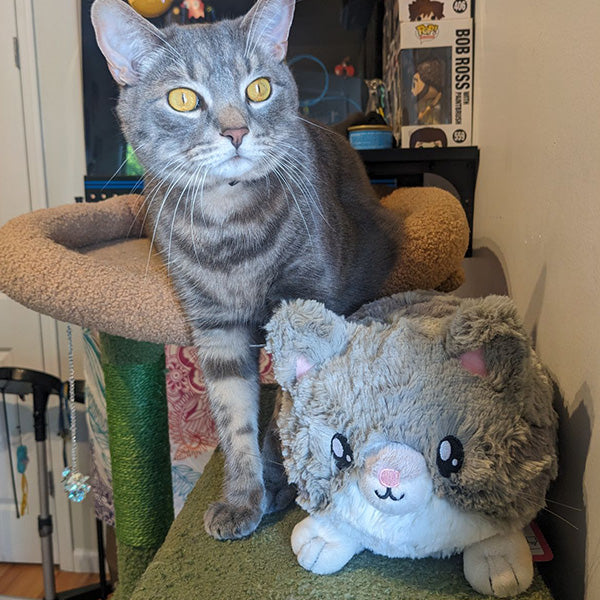 Mini Squishable Grey Kitty