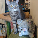 Mini Squishable Grey Kitty