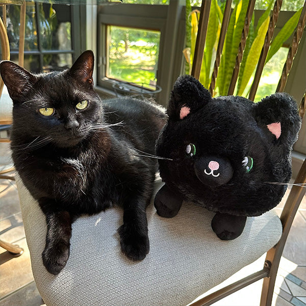 Mini Squishable Black Kitty - PRE-ORDER