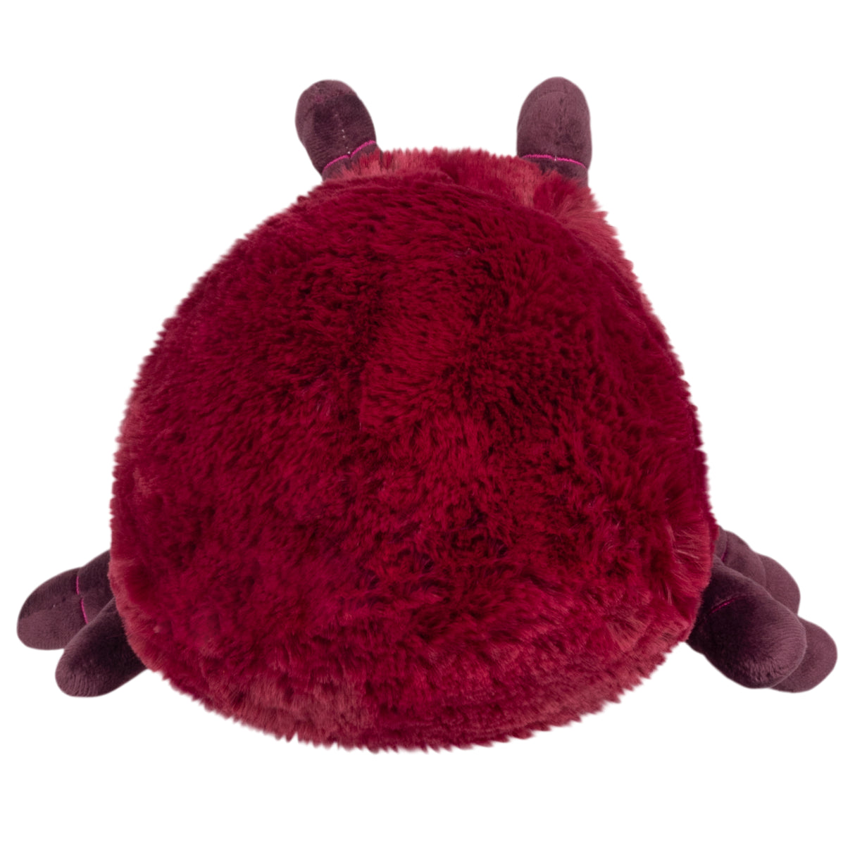 Mini Squishable Ant