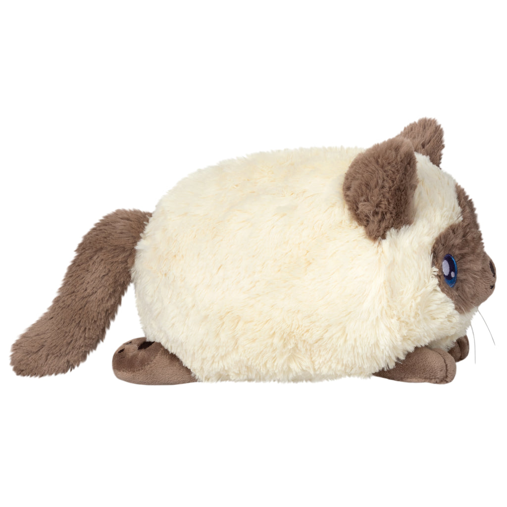 Squishable.ca