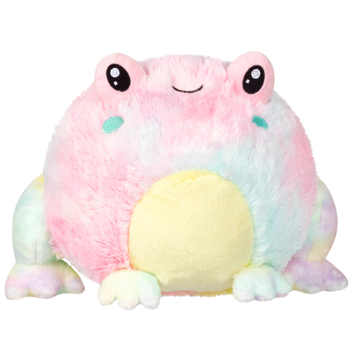 Mini Squishable Tie Dye Frog