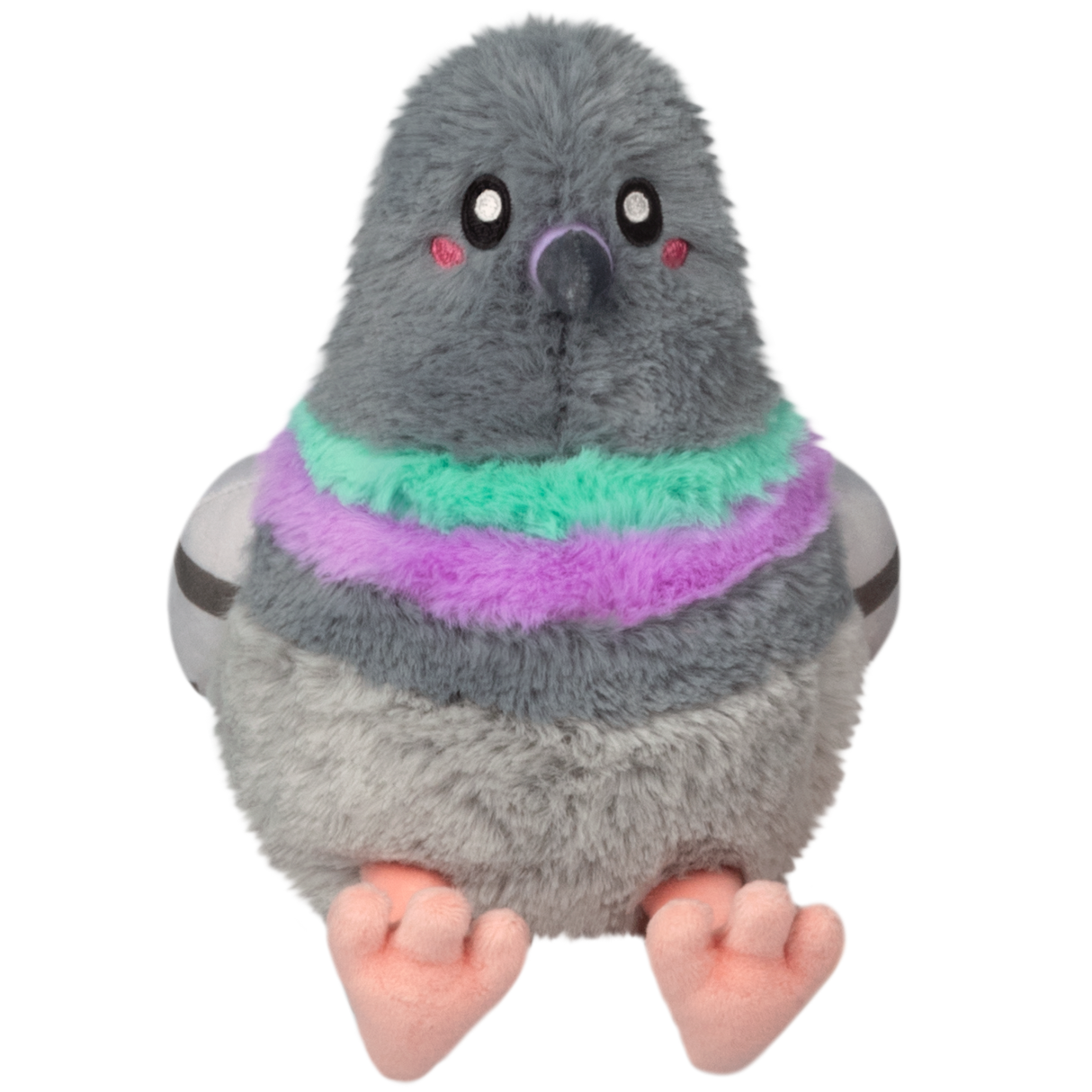 Snacker Pigeon