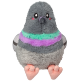 Snacker Pigeon