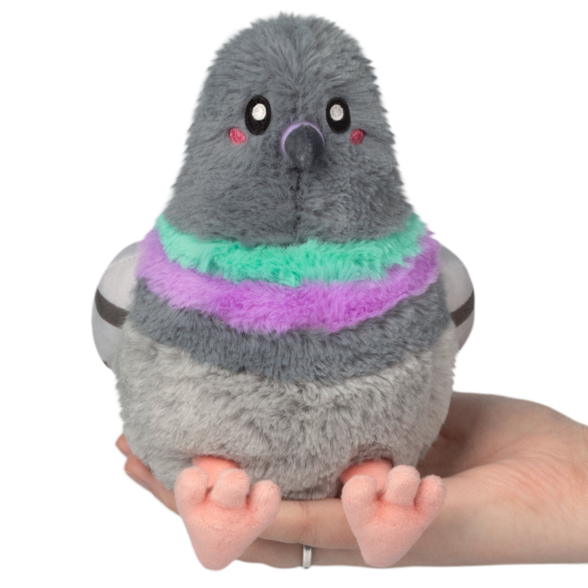 Snacker Pigeon