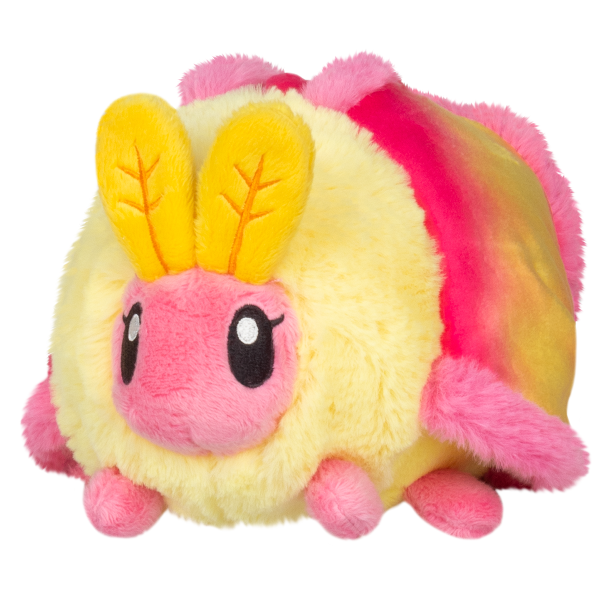 Snacker Rosy Maple Moth - PRE-ORDER