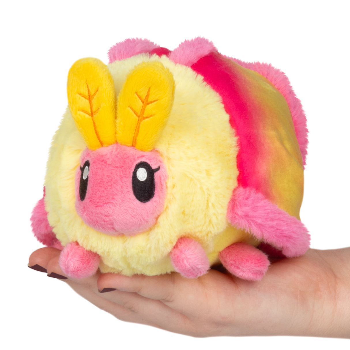 Snacker Rosy Maple Moth - PRE-ORDER