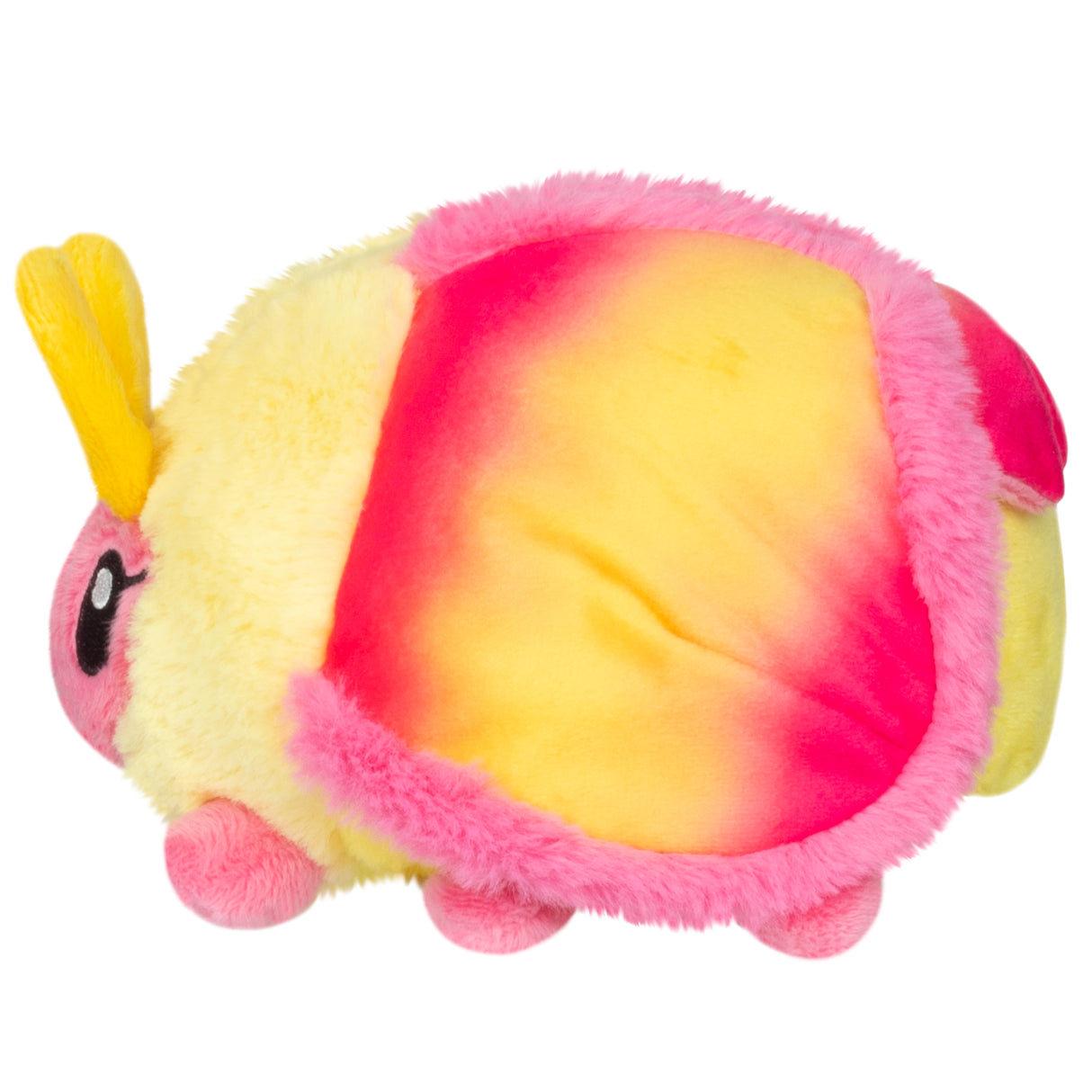 Snacker Rosy Maple Moth - PRE-ORDER