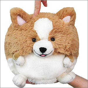 Corgi squishy sales