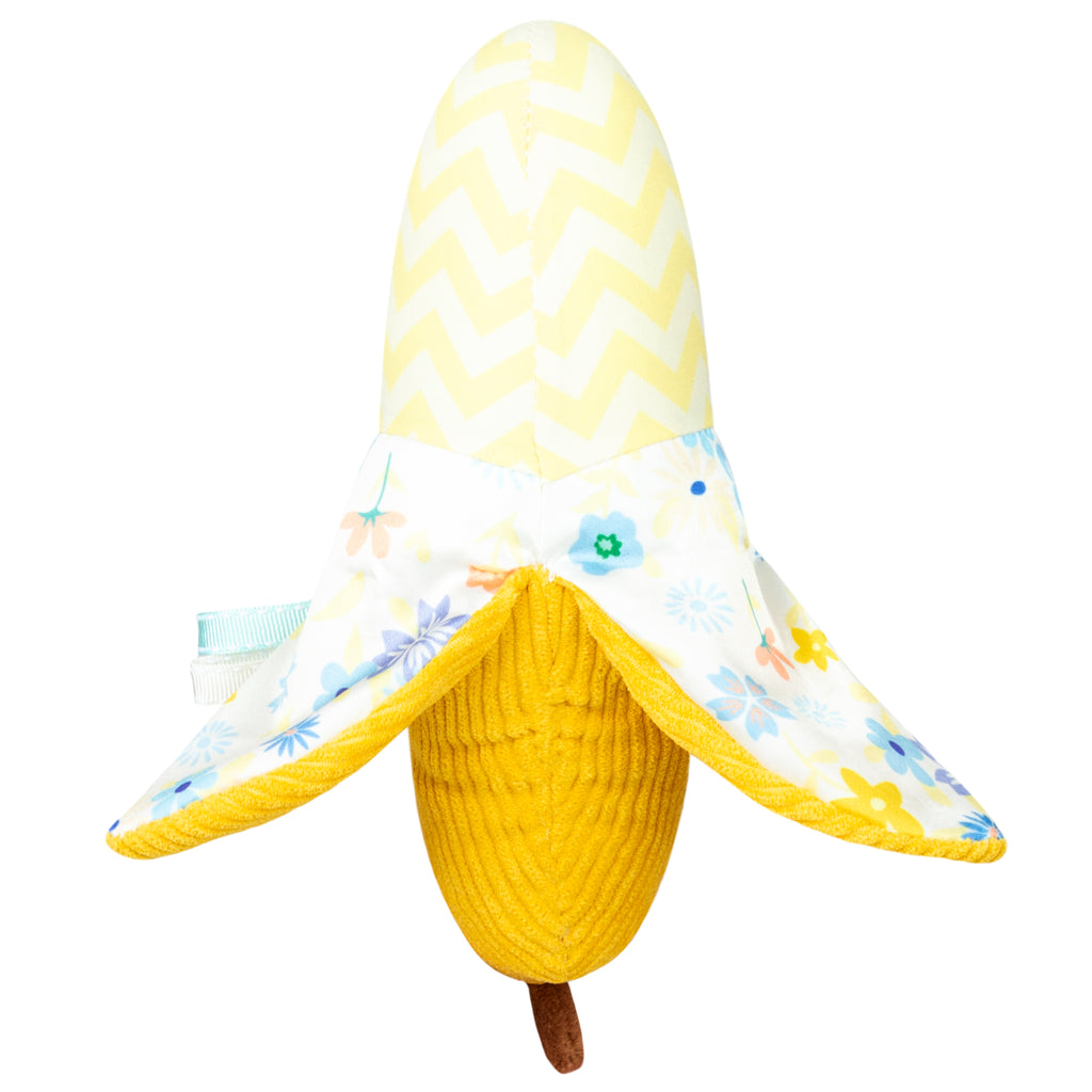 Picnic Baby Banana