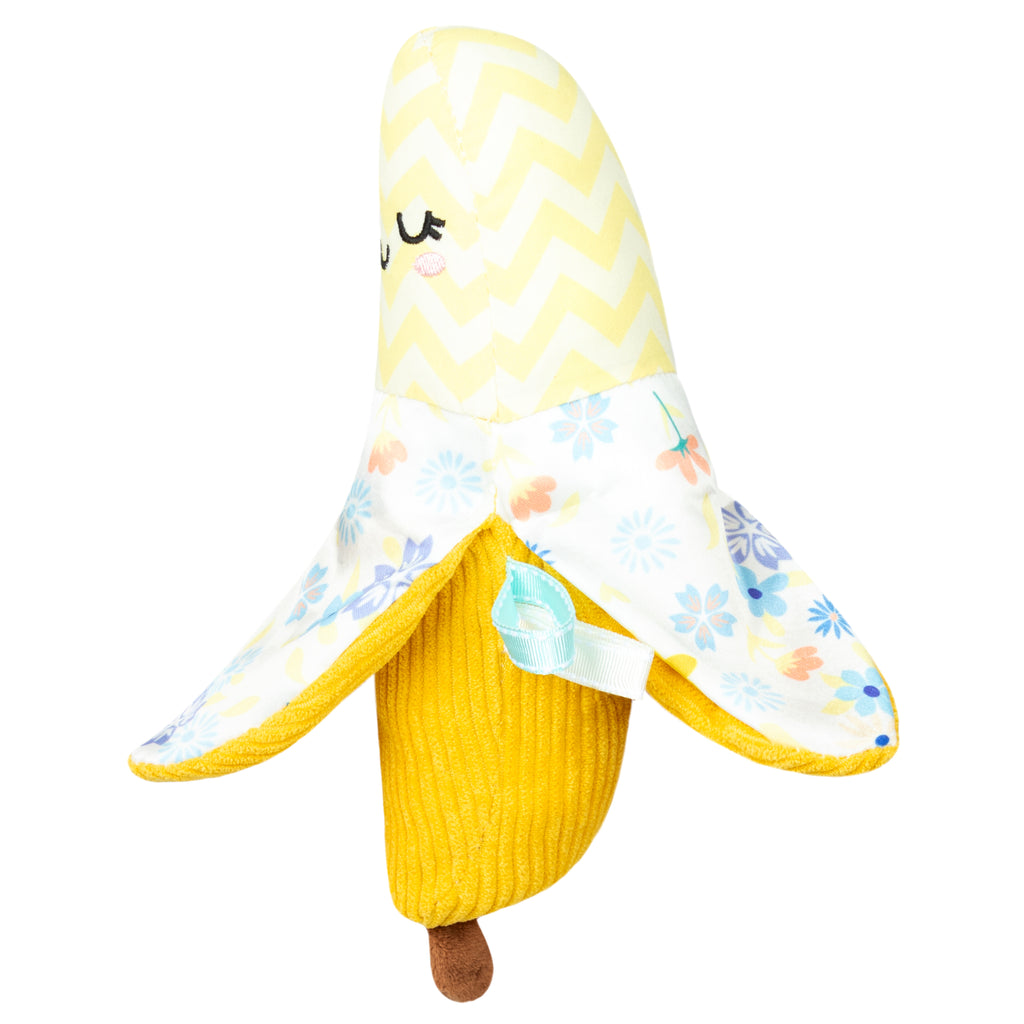 Picnic Baby Banana