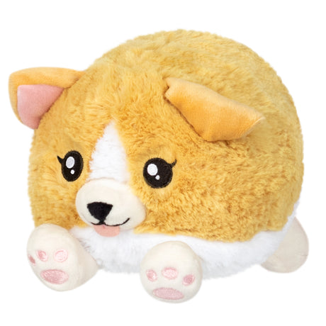 Snacker Baby Corgi