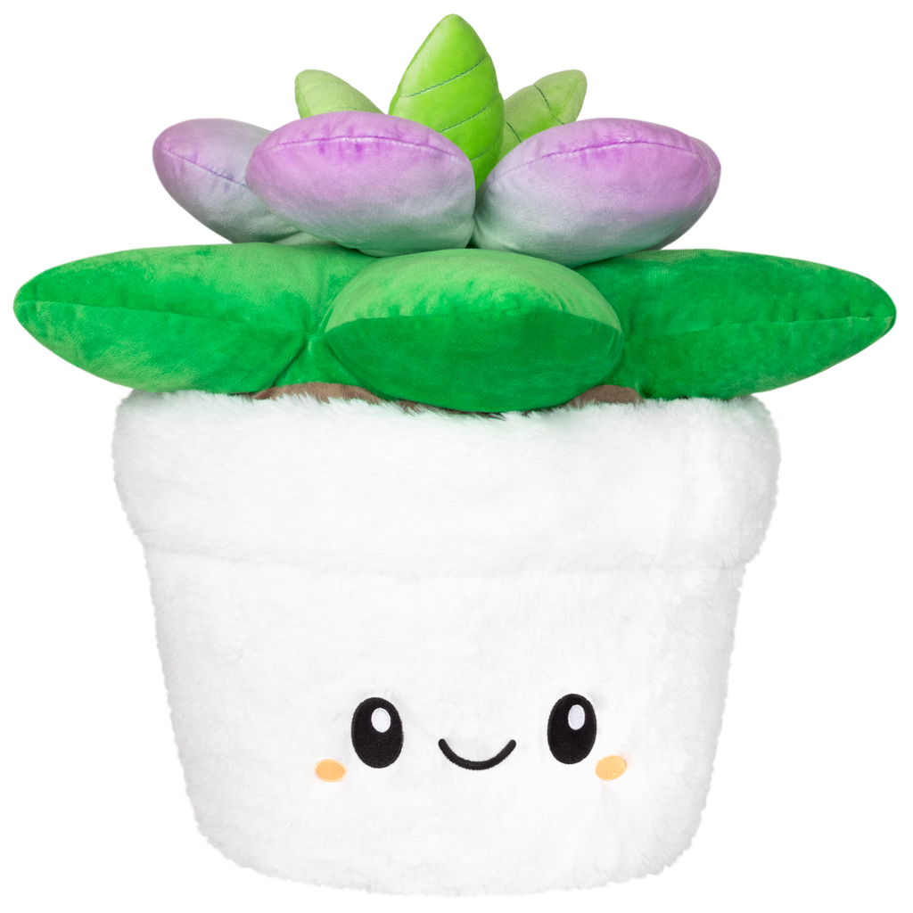 Squishable Succulent